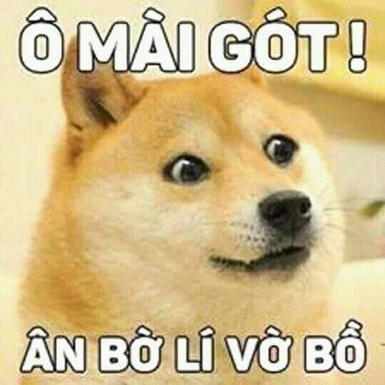 Nhạc Chịch?!