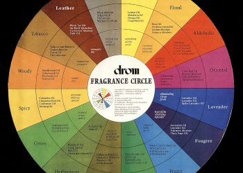 Đi Tìm Bản Sắc và Mùi Hương Cá Nhân Đi Tìm Bản Sắc và Mùi Hương Cá Nhân